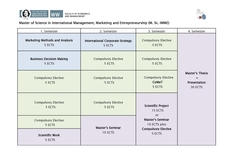 Program Structure IMME